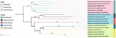 Lipidomic chemotaxonomy aligned with phylogeny of Halobacteria